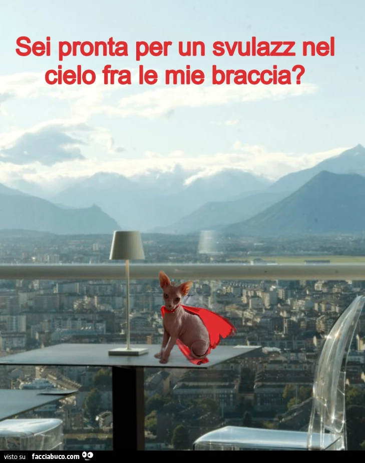 Vaccata