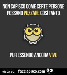 Puzza