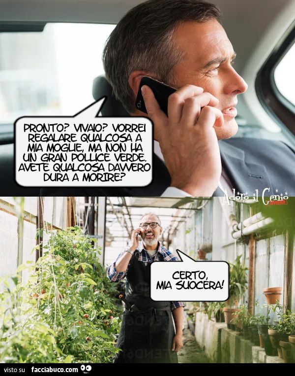 Regalare