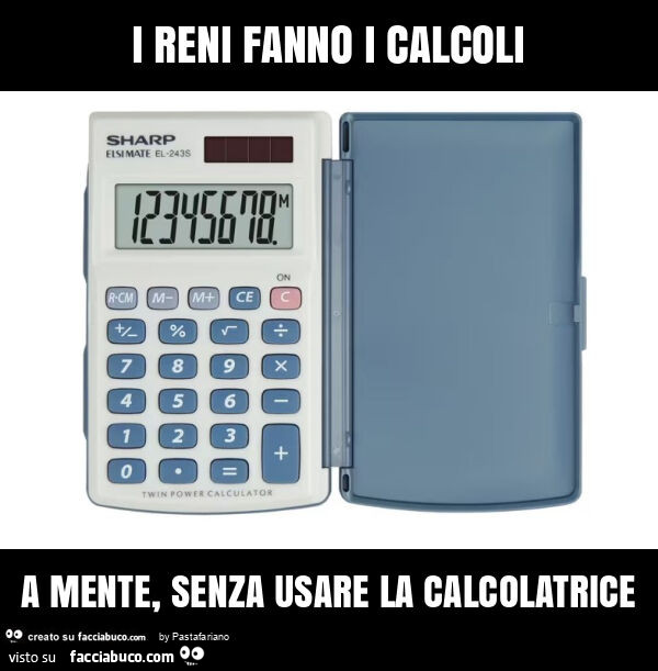 I reni fanno i calcoli a mente, senza usare la calcolatrice