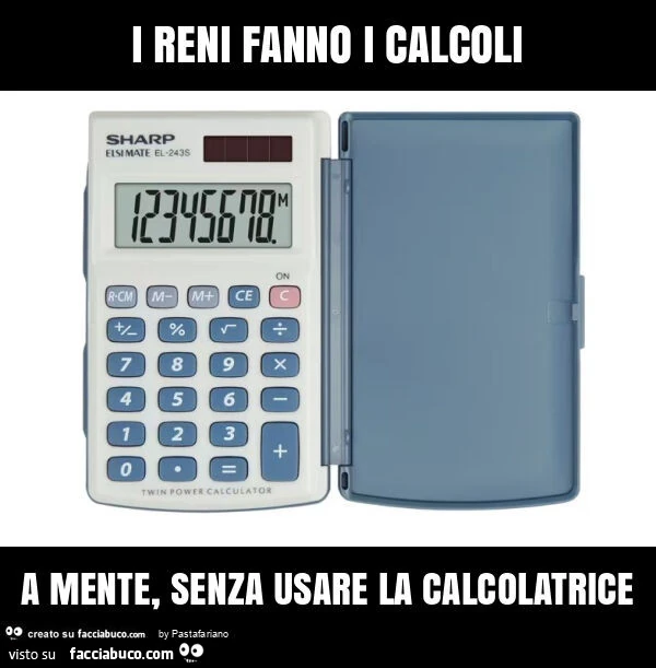I reni fanno i calcoli a mente, senza usare la calcolatrice