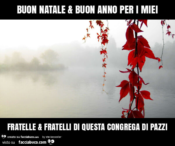 Buon natale & buon anno per i miei fratelle & fratelli di questa congrega di pazzi