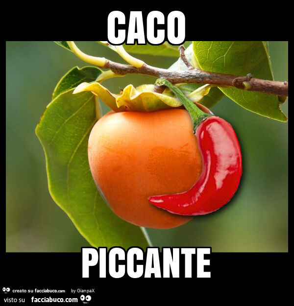 Caco piccante