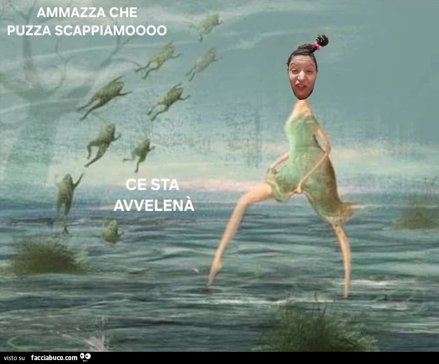 Vaccata