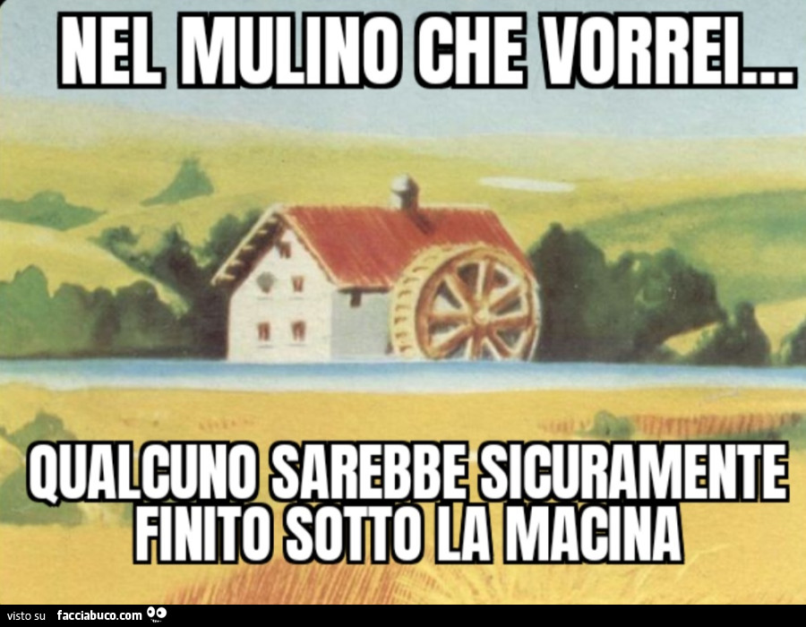 Nel mulino che vorrei qualcuno sarebbe sicuramente finito sotto la macina