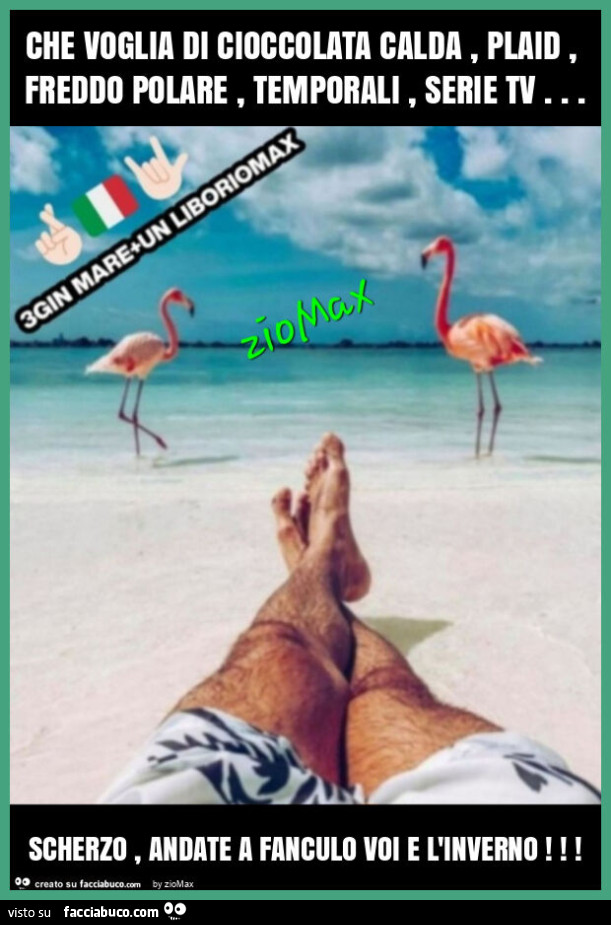 Che voglia di cioccolata calda, plaid, freddo polare, temporali, serie tv… scherzo, andate a fanculo voi e l'inverno