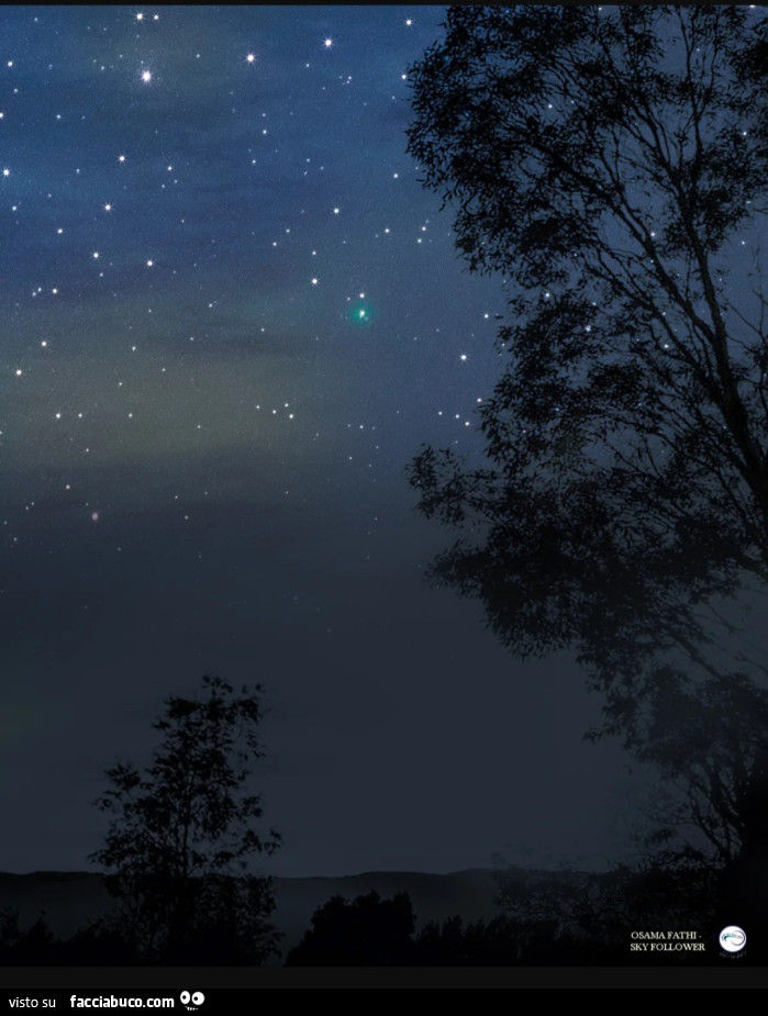 Fotografo Osama Fathi ha immortalato la cometa nelle prime ore del 29 novembre, quando un debole bagliore verde si è fatto strada tra gli alberi solitari e le colline vulcaniche del Sahara. “