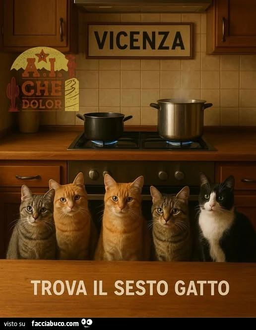 Vicenza trova il sesto gatto