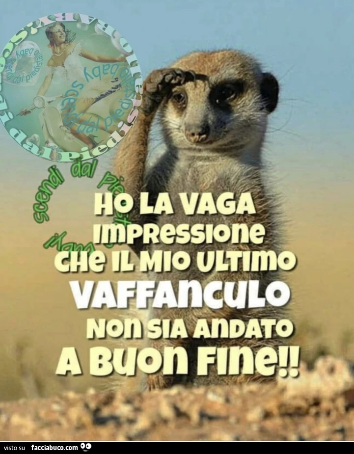 Vaccata