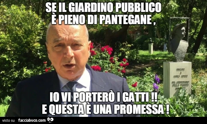 Vaccata