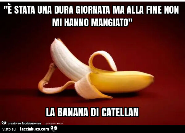 "è stata una dura giornata ma alla fine non mi hanno mangiato" la banana di catellan