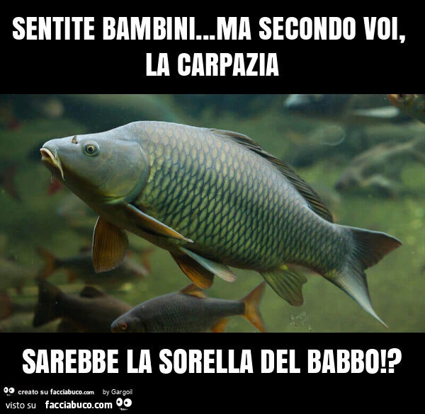 Sentite bambini&hellip; ma secondo voi, la carpazia sarebbe la sorella del babbo!?