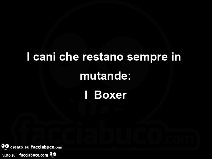 I cani che restano sempre in mutande: i Boxer