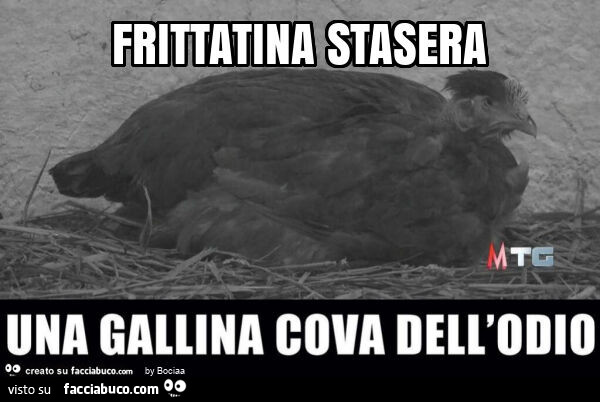 Frittatina stasera