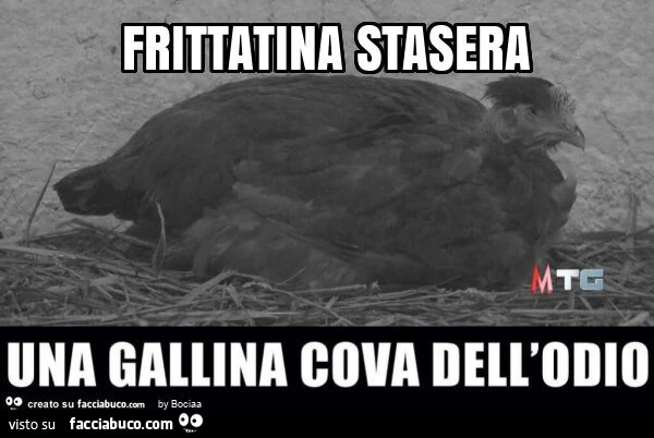 Frittatina stasera