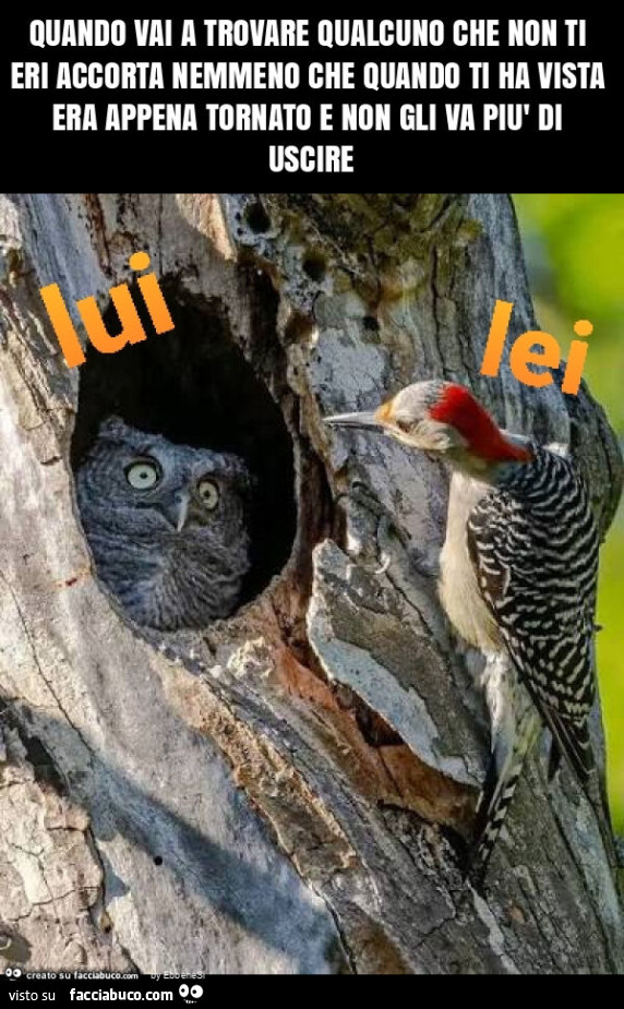 Quando vai a trovare qualcuno che non ti eri accorta nemmeno che quando ti ha vista era appena tornato e non gli va più di uscire