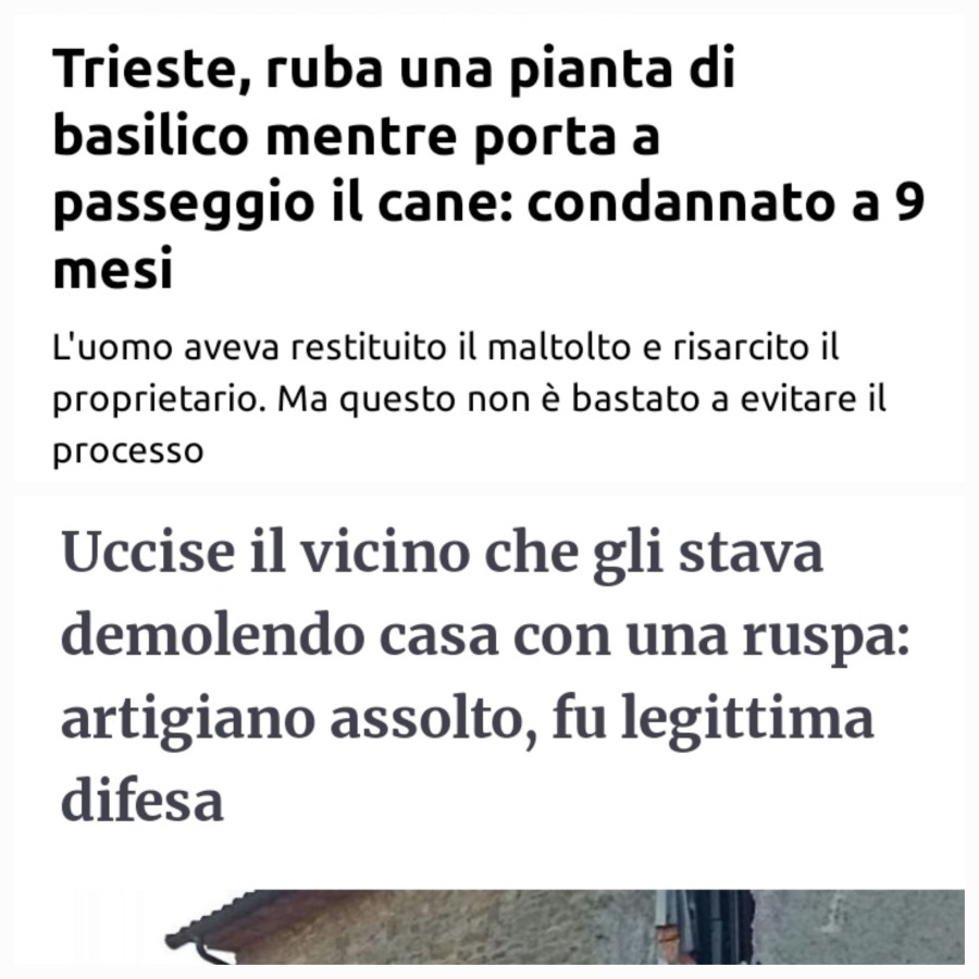 Trieste, ruba una pianta di basilico mentre porta a passeggio il cane: condannato a 9 mesi