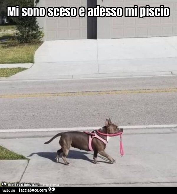 Mi sono sceso e adesso mi piscio