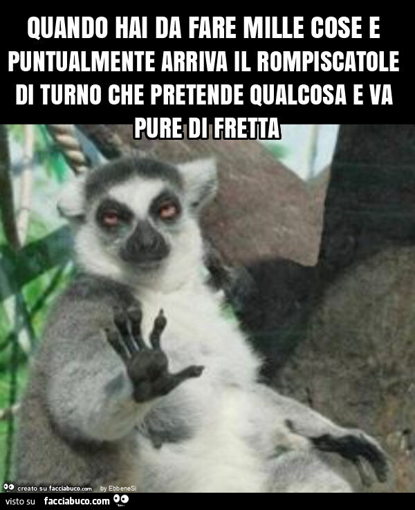 Quando hai da fare mille cose e puntualmente arriva il rompiscatole di turno che pretende qualcosa e va pure di fretta