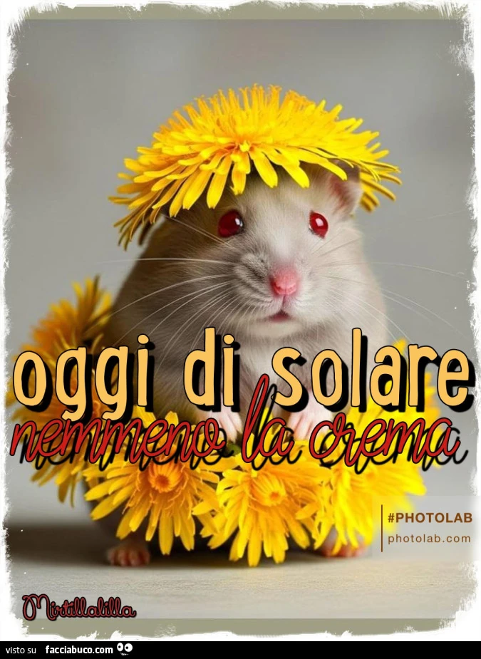 Crema solare