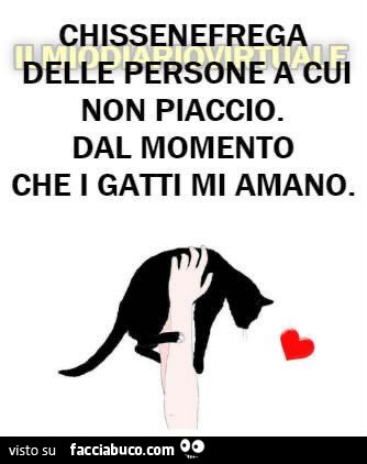 Chissenefrega delle persone a cui non piaccio. Dal momento che i gatti mi amano