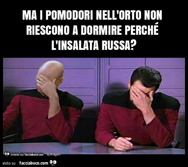 Ma i pomodori nell'orto non riescono a dormire perchรฉ l'insalata russa?
