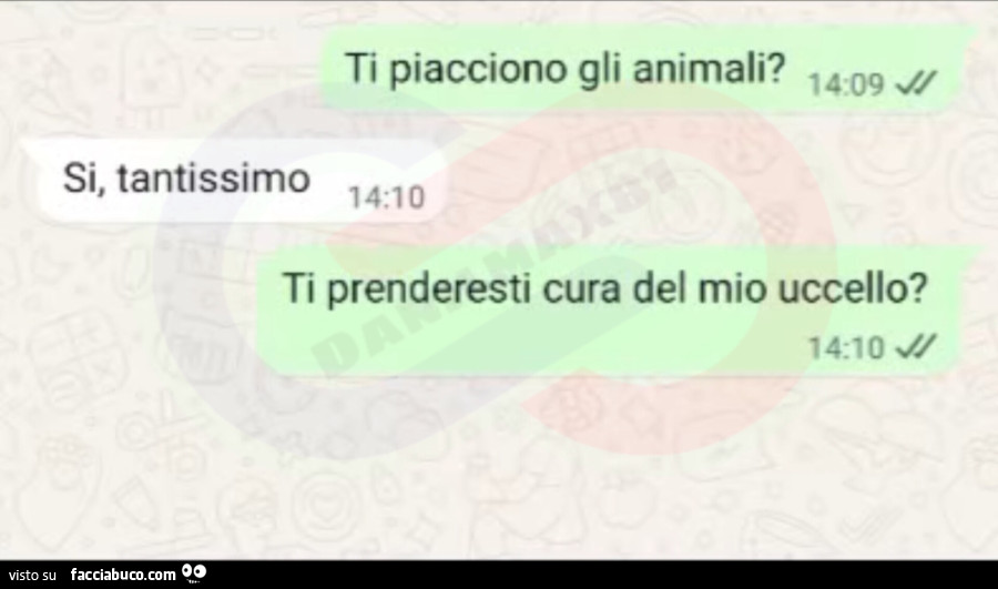 Ti piacciono gli animali? Si, tantissimo! Ti prenderesti cura del mio uccello?