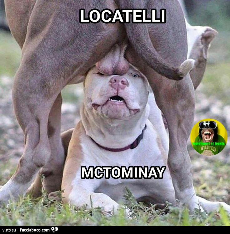 Locatelli mctominay juve napoli