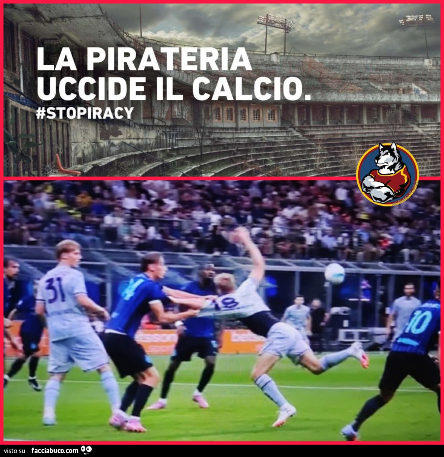 Vaccata