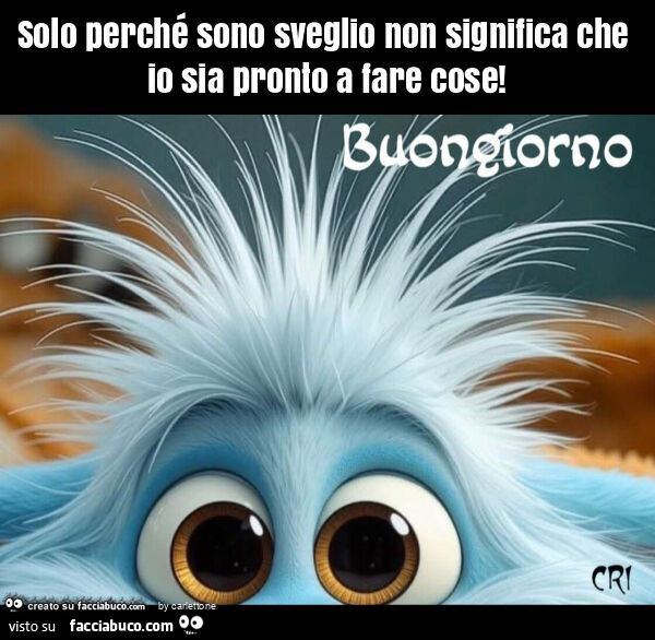 Solo perché sono sveglio non significa che io sia pronto a fare cose
