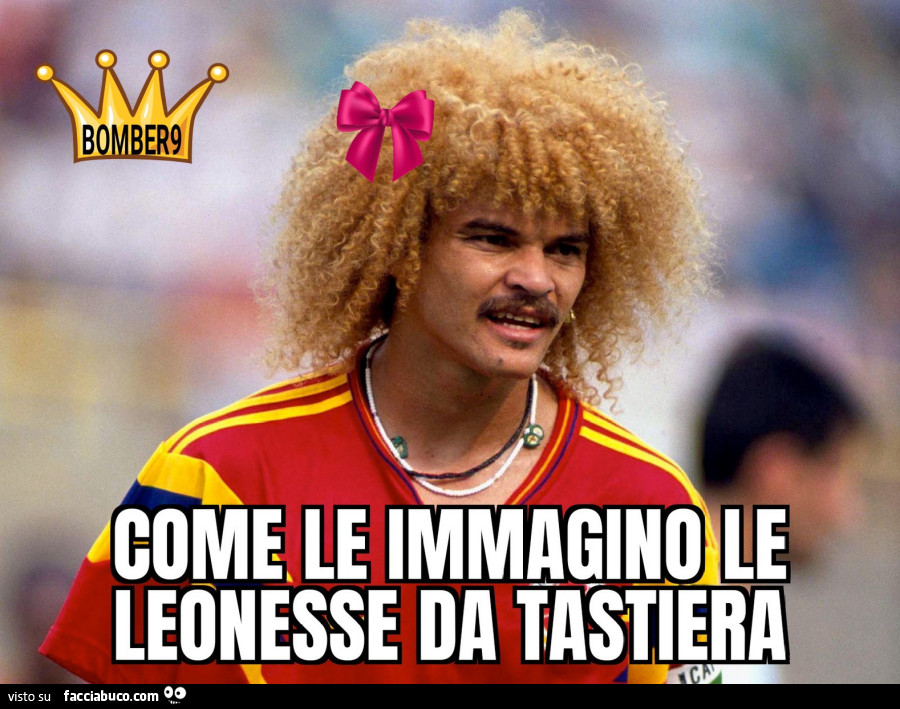 Come le vedo le leonesse da tastiera