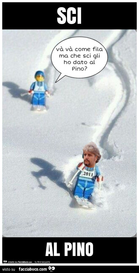 Sci al pino