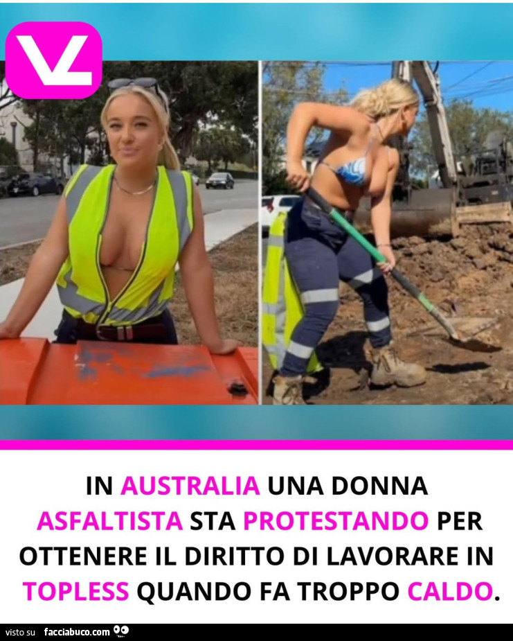 Vaccata