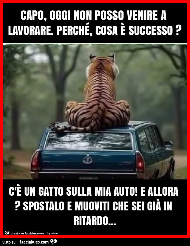 Capo, oggi non posso venire a lavorare. Perché, cosa è successo? C'è un gatto sulla mia auto! E allora? Spostalo e muoviti che sei già in ritardo