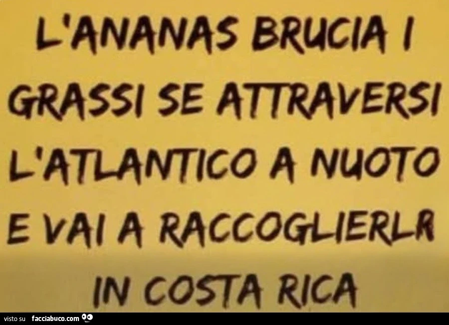 Ananas