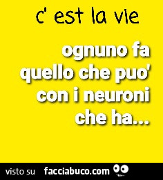 C'est la vie. Ognuno fa quello che può con i neuroni che ha