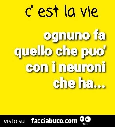 C'est la vie. Ognuno fa quello che può con i neuroni che ha