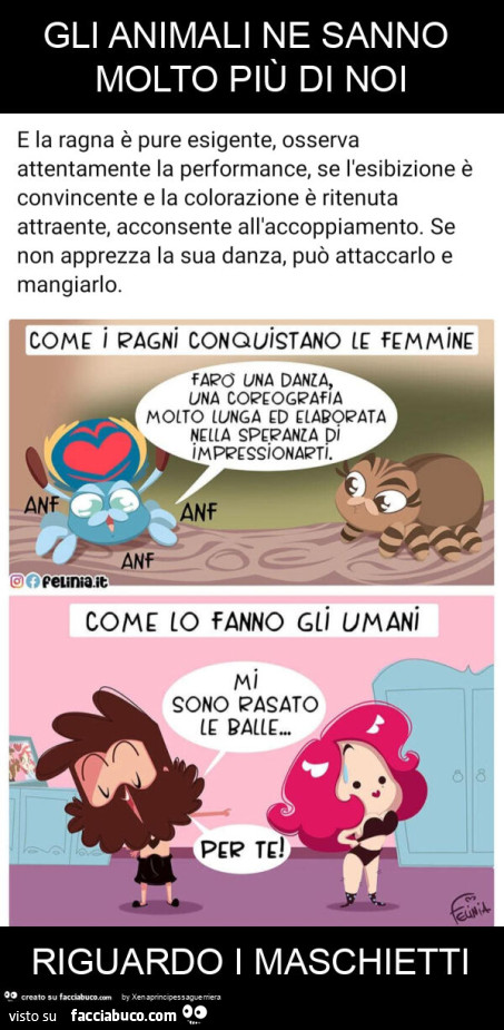 Gli animali ne sanno molto più di noi riguardo i maschietti