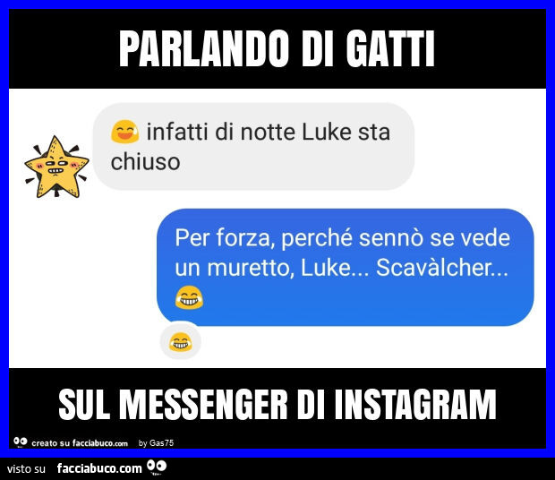 Parlando di gatti sul messenger di instagram