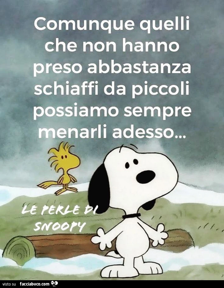 Schiaffi
