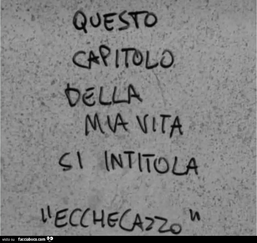 Questo capitolo della mia vita si intitola ecchecazzo