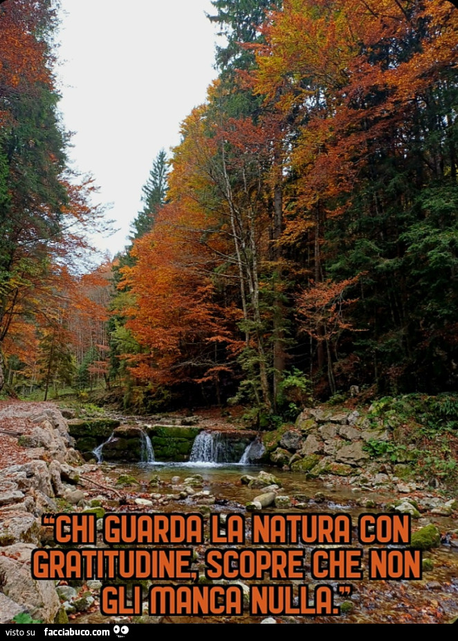 โChi guarda la natura con gratitudine, scopre che non gli manca nulla. โ