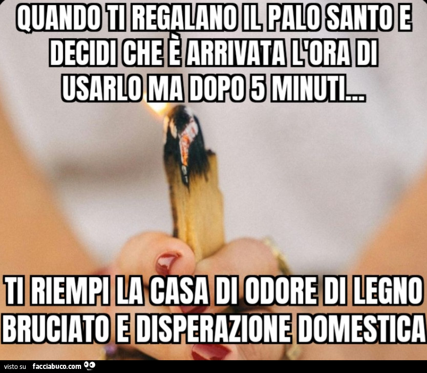 Solo odore di legno bruciato e falsa speranza ti riempi la casa di odore di legno bruciato e disperazione domestica