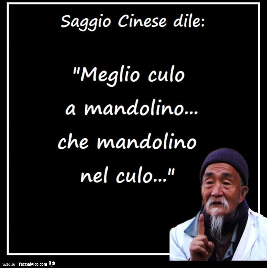 Saggio cinese