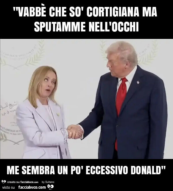 "vabbè che sò cortigiana ma sputamme nell'occhi me sembra un po' eccessivo donald"