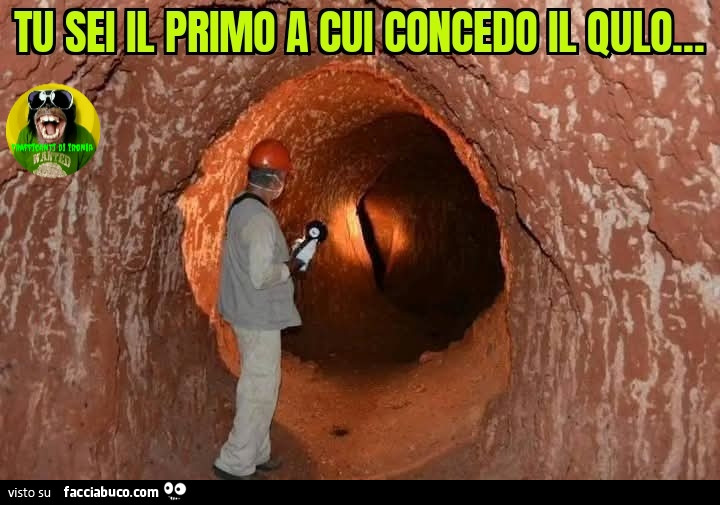 Tu sei il primo a cui concedo il qulo