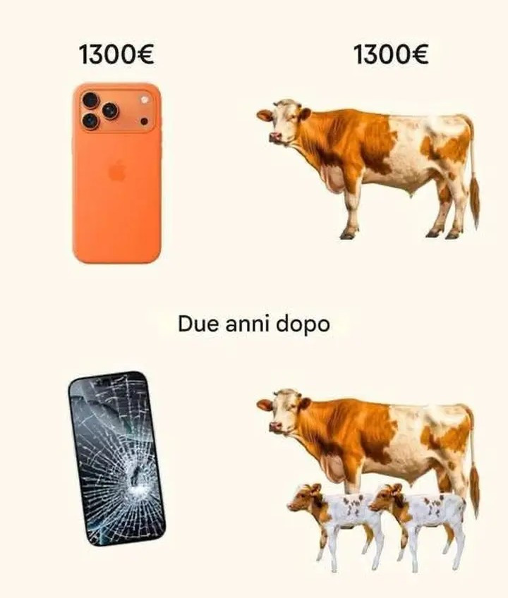 1300€ iphone o mucca. Due anni dopo