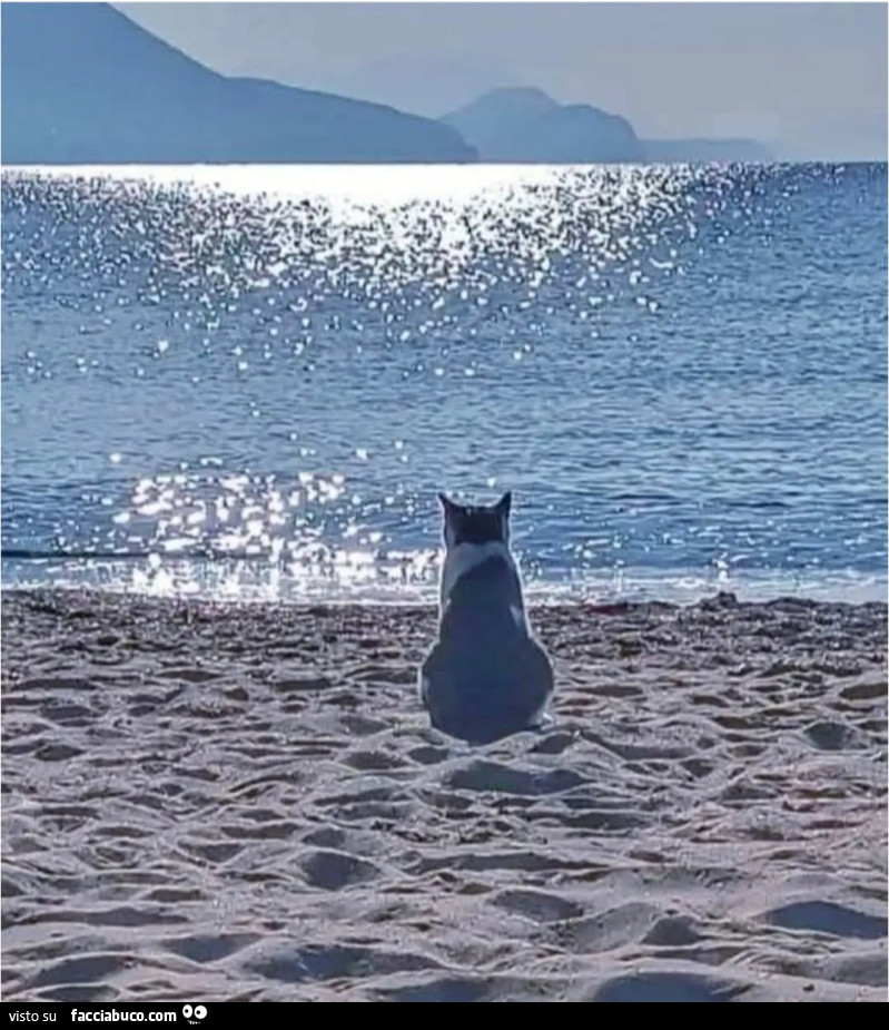 Pace