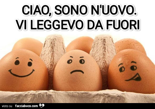 Ciao, sono n'uovo