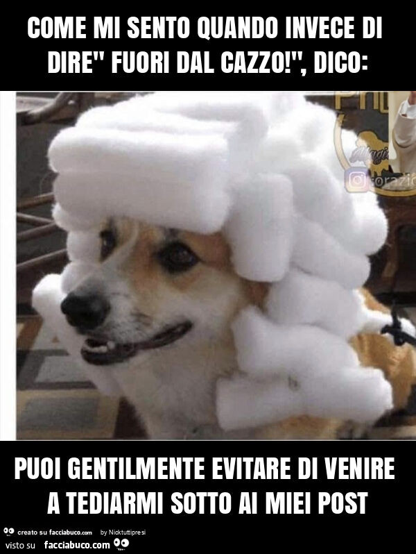 Come mi sento quando invece di dire" fuori dal cazzo! ", Dico: puoi gentilmente evitare di venire a tediarmi sotto ai miei post